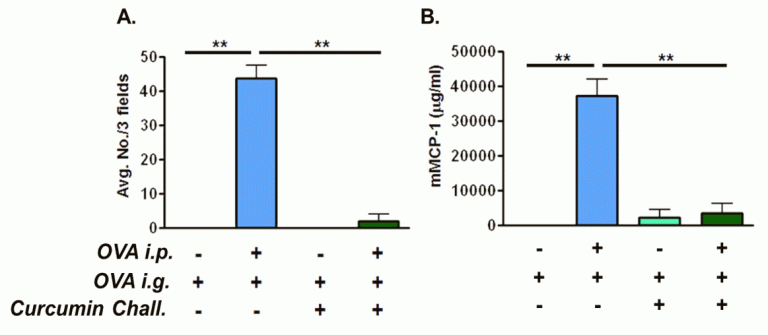 This image shows that food-derived components, such as curcumin, the active ingredient of the curry spice, turmeric, can suppress mast cells (A) and their mediators (B) during food allergy.  