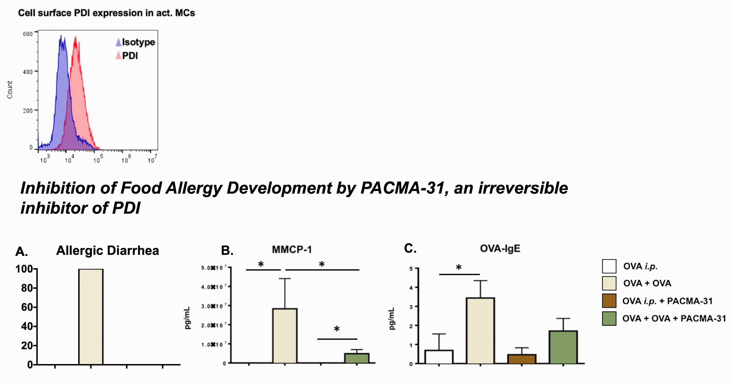 This image shows that mast cells can express the enzyme, protein disulfide isomerase (PDI) on their cell surface. Blocking PDI with an inhibitor (PACMA-31) decreases allergic diarrhea (A), mast cell mediator levels (B) and IgE antibodies (C) during food allergy.  