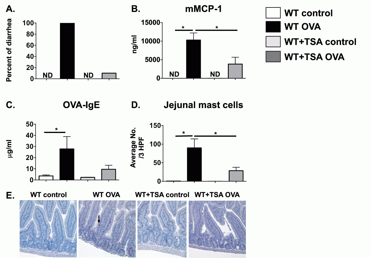 This picture shows that an epigenetic agent, trichostatin A (TSA), suppresses food allergy in mice, including decreased allergic diarrhea (A), decreased levels of mast cell mediators (B), decreased IgE antibodies (C), and decreased intestinal mast cells (D&E).